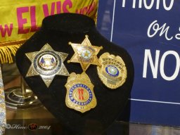 Elvis im 48er Tandler 15.03.2026